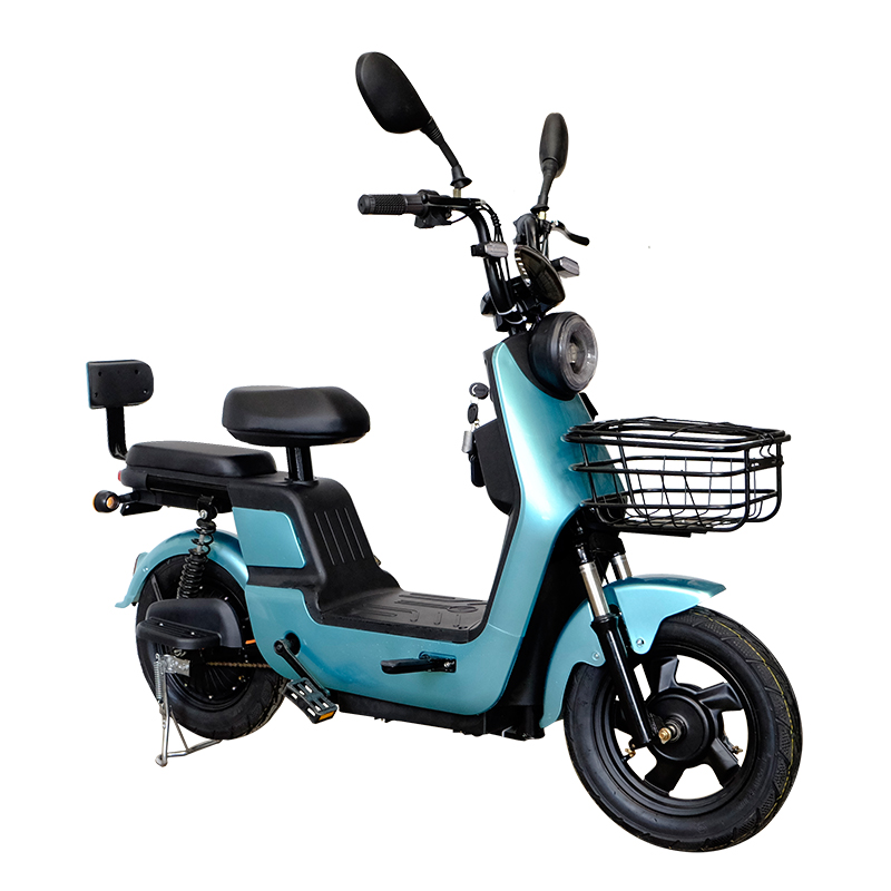 Electric Bicycle